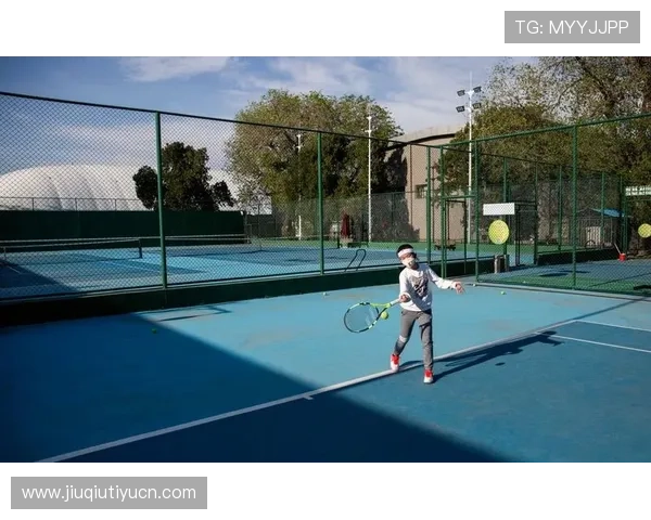 elta体育平台的优势与特色分析,提升你的体育游戏体验 elta体育平台的优势与特色分析,提升你的体育游戏体验