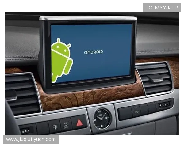 B体育登录娱乐平台如何确保用户信息安全，全面介绍平台的安全措施与保障